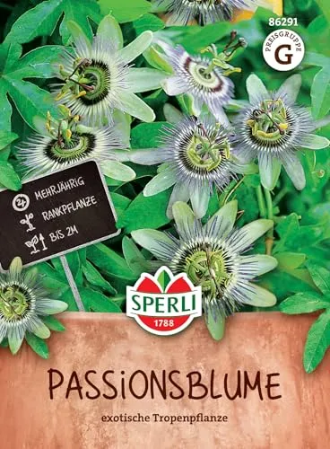 Sperli-Samen Passionsblume von SPERLI