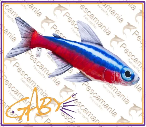 Kissen Fisch Neon Geschenkidee Fischen Angler Stofftier Gaby Kissen cm.53