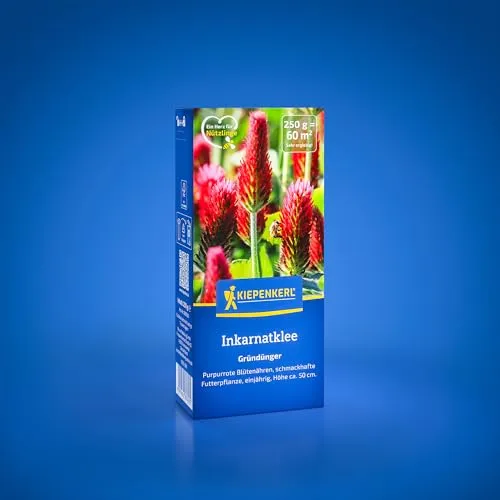 Kiepenkerl Inkarnatklee 1080300 von Kiepenkerl