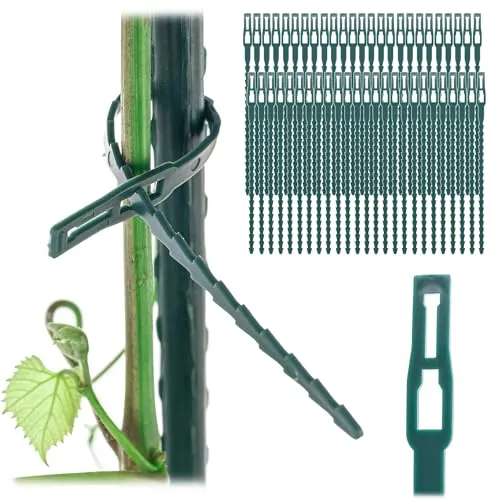 KADAX Pflanzenbinder aus Grünem Kunststoff, Flexibler Kabelbinder für den Garten, Ideal zum Binden und Stützen von Tomaten und Gurken (50 x 16,5cm)