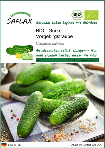 SAFLAX Gemüsesamen SAFLAX - Samen - BIO - Gurke - Vorgebirgstraube