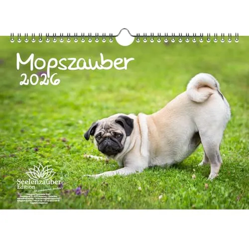 Mopszauber DIN A4 Kalender für 2026 Mops Hunde und Welpen - Seelenzauber