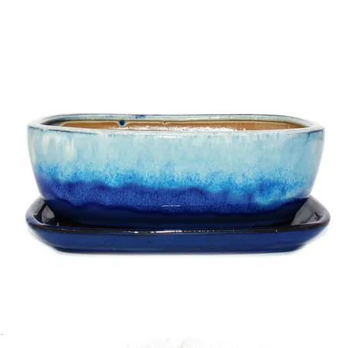 Exotenherz Bonsai-Schale rechteckig Gr.4 Blau-Beige mit Unterteller - Hochwertige Bonsai-Schale aus Yixing mit Untersetzer. Perfekt für stilvolle Bonsai-Pflege und optimalen Wassertausch. Ideal für Einsteiger und Profis. Maße: 26 x 20 x 9 cm.