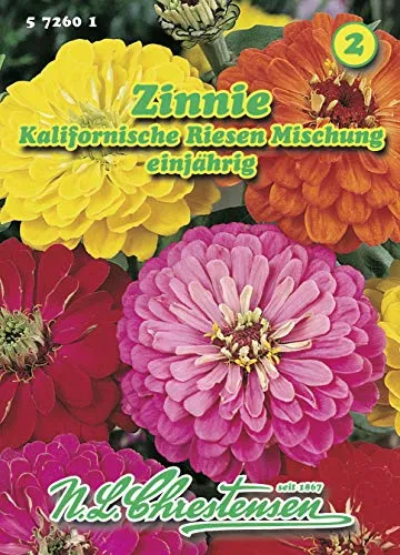 Zinnie Kalifornische Riesen Mischung Zinnia elegans