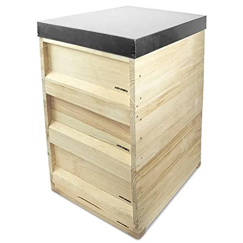 APIFORMES DNM Weimutskiefer Beute 10 Waben