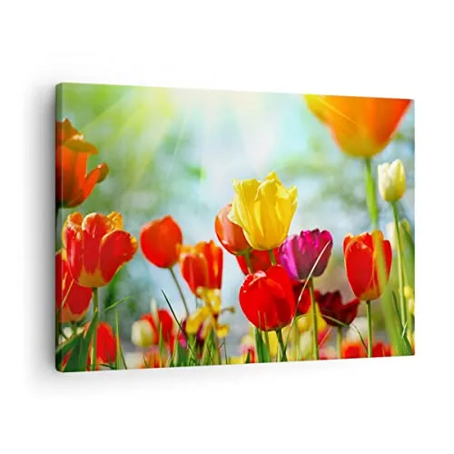 Bilder auf Leinwand Tulpe Blume Plantage Wiese Leinwandbild 70x50cm Wandbilder Dekoration Wohnzimmer Schlafzimmer Küche Deko Klein Wanddeko Bild Wand Kunstdruck Art Wall Decor Canvas AA70x50-2566
