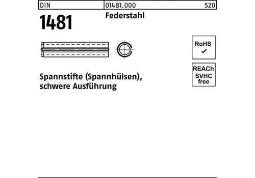 Reyher Spannstift DIN 1481 3 x 10 Federstahl schwere Ausführung