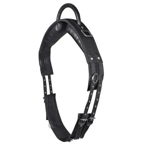 WALDHAUSEN Longiergurt mit Handgriff, WB, schwarz - Voltigier- & Longiergurte mit lederüberzogenem Handgriff für sicheres Longieren, ideal für Kinder und optimalen Körperkontakt.