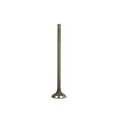 Freccia Auslassventil R4901/RNT