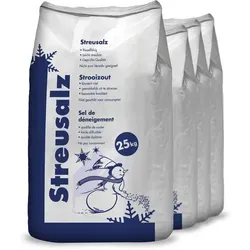 Hamann Streusalz 100 kg (4 x 25 kg)