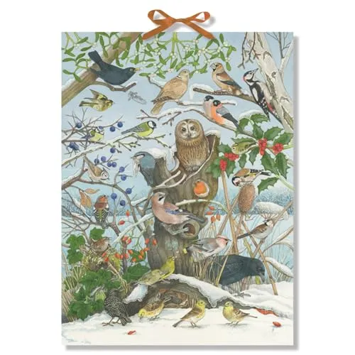 Unsere Vögel im Winter von Coppenrath Verlag