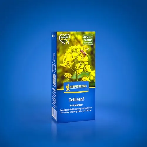 Kiepenkerl Gelbsenf 1080200 – Das perfekte Saatgut für die Nematodenbekämpfung. Eine Wirtspflanze für Falter mit einjähriger Lebenserwartung. - Samen