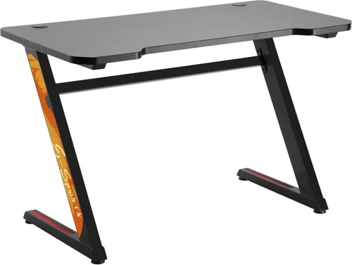 Computer Tisch Gaming Desk RS120