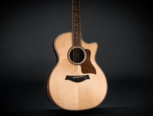 Taylor 814ce Next Generation 2026 814ce NEXT-GEN