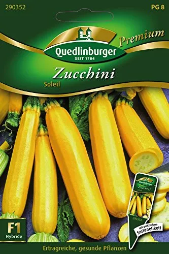 Zucchini Soleil von Quedlinburger Saatgut