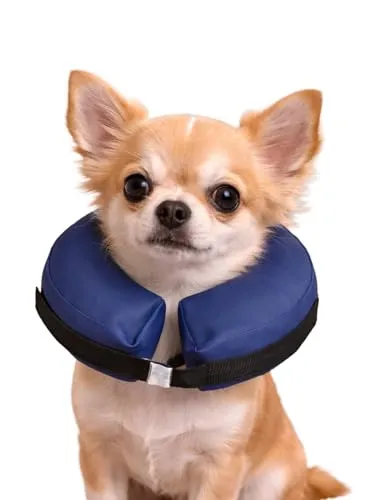 Karlie Aufblasbarer Hundekragen XS für Katzen und kleine Hunde