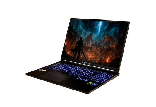 CAPTIVA Highend Gaming I94-277 Notebook (40.6 cm/16 Zoll, INTEL Core i7 14650HX, GeForce RTX 5070, 1000 GB SSD, WLAN, ohne Betreibssystem)