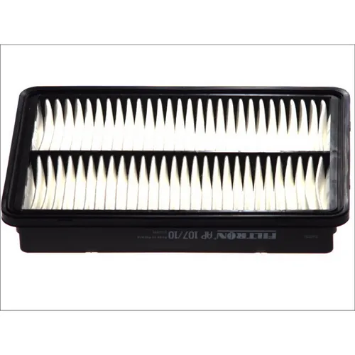 Filtron Luftfilter AP 107/10