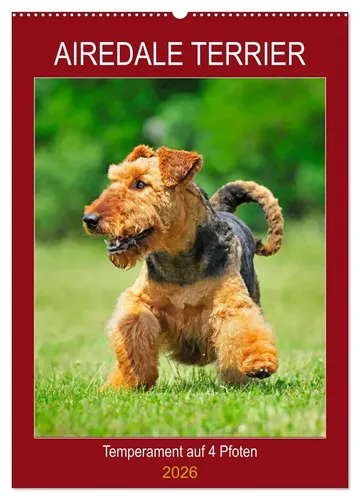 Sigrid Starick | Airedale Terrier Wandkalender 2025 - 12 bezaubernde Bilder der größten Terrierrasse. Ideal für Tierliebhaber und als dekorativer Blickfang in jedem Raum.