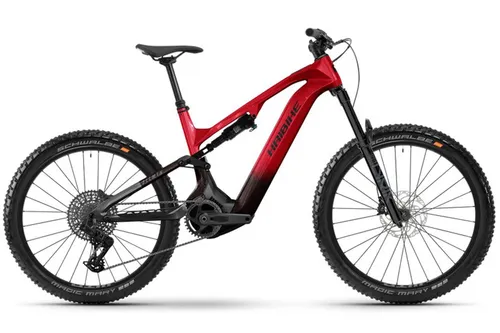 Haibike ALLMTN CF 9 800