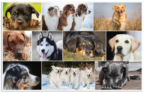 HERMA Schreibunterlage 