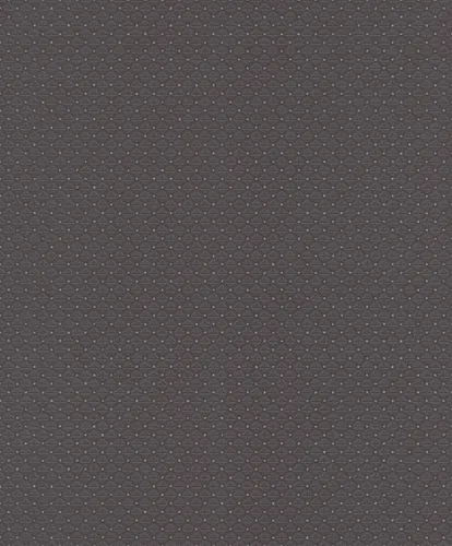 Rasch Tapeten Schwarz von Rasch