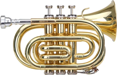 Classic Cantabile Brass TT-400 B-Taschentrompete Messing von Classic Cantabile