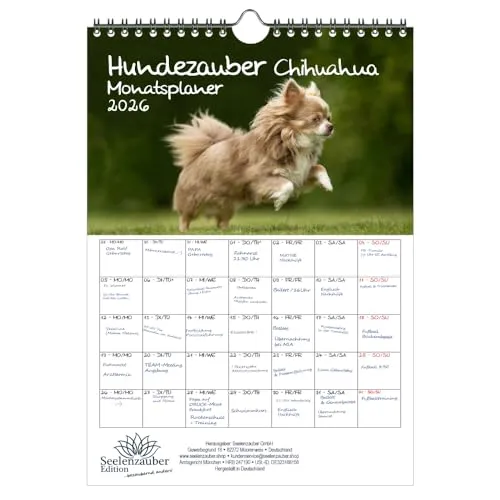 Hundezauber Chihuahua Planer DIN A4 Kalender für 2026 Welpen und Hunde - Seelenzauber