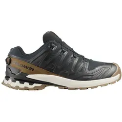 SALOMON Herren Trailrunningschuhe XA PRO 3D V9 GTX LIFELONG M Schwarz