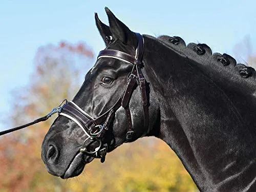 Kappzaum FIT PRO, hochwertiger Kappzaum für Vollblut und Warmblut - Zubehör für Sattel- & Zaumzeug, aus robustem Material für optimale Passform und Komfort beim Training.