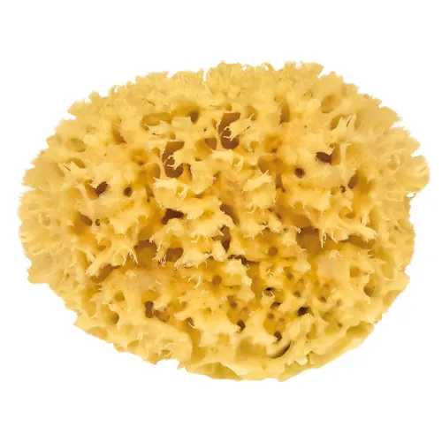 CROLL & DENECKE Naturschwamm, ca. 15 cm - Badeschwämme aus nachhaltigem Meeresschwamm, hypoallergen und ideal für empfindliche Haut, fördert die Durchblutung und entfernt sanft trockene Hautschüppchen.