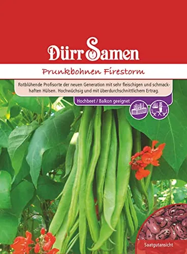 Dürr-Samen - Feuerbohnen Firestorm Saatgut