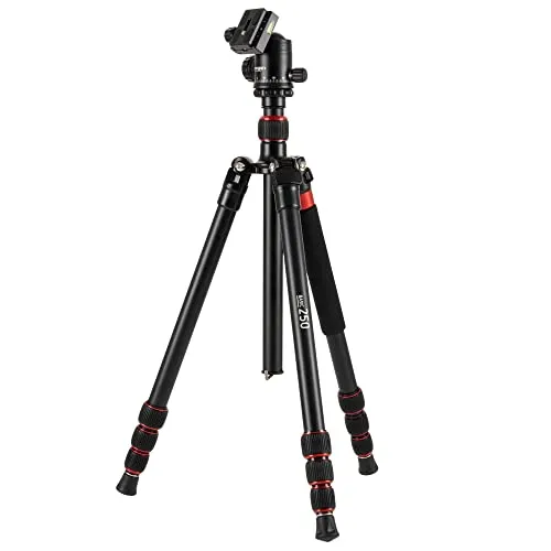 Omegon Aluminium-Dreibeinstativ Basic 250 mit Kugelkopf - Stativ für Fotografie und Astronomie, mit integrierten Einbeinstativ für maximale Flexibilität und schneller Instrumentenwechsel dank Schnellwechselplatte.