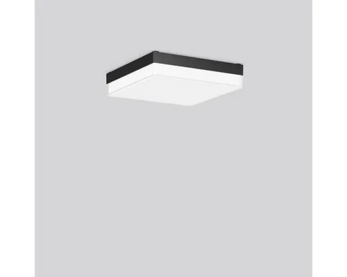RZB LED-Wand- und Deckenleuchte 312537.0031.730