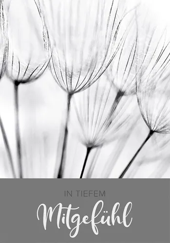 Trauer – Beileid – Kondolenz