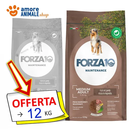 Forza10 Hund Wartung → Lamm Und Reis - 12 KG - Mittel Adult - Hunde, Hunde