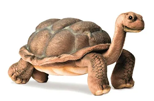 Hansa Toy 6461 Galapagos Schildkröte 25 cm von Hansa