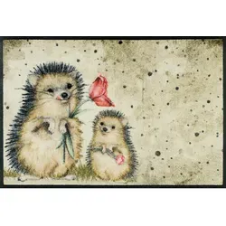 wash+dry Fußmatte Spike 50x75 cm - Hochwertige Fußmatte für innen und außen, waschbar bis 60°C, rutschfest und trittschalldämmend – ideal für Allergiker und Tierbesitzer.