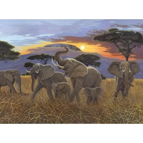 Pracht Malen nach Zahlen - Junior