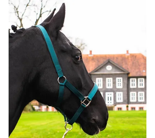 Pferdelinis Halfter Pferde Halfter Full, Cob, Kaltblut, Pony, verstellbare Dornschnallen, zweifach verstellbar