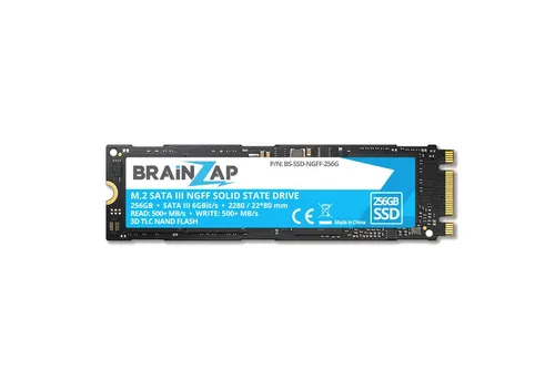 BRAINZAP 256GB M.2 NGFF SATA III SSD - Schnelle Performance für Ihr Gerät - Festplatte mit 256GB und 500 MB/s Lesegeschwindigkeit. Ideal für Notebooks und PCs, bietet hohe Stabilität dank 3D TLC NAND FLASH Technologie.