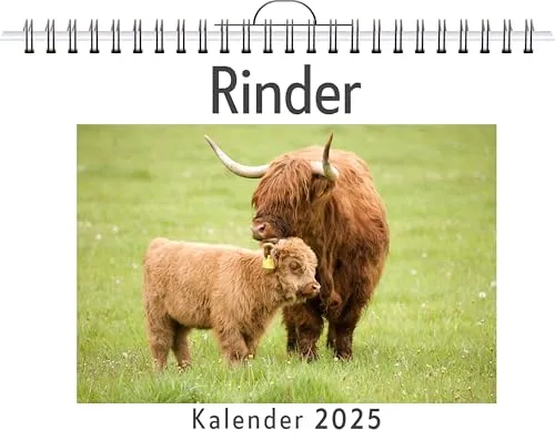 Rinder - (Wandkalender 2025, Kalender DIN A4 quer, Monatskalender im Querformat mit Kalendarium, das perfekte Geschenk)