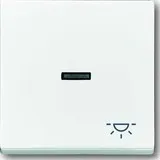 Busch-Jaeger 1789 LI-84 Wippe Symbol Licht davos