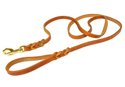 Hundeleine Leder 2,2m für große Hunde – geflochtene Fettlederleine mit Handschlaufe