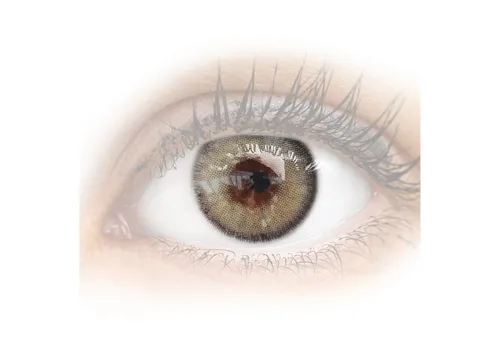 GLAMLENS Monatslinsen Stark deckende & natürliche Linsen Mirel Gray mit/ohne Sehstärke