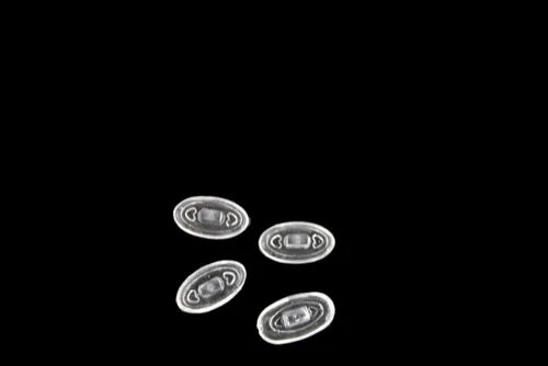 Produktbild optiker-dietrich.de Brillenetui Silikonbrillenpads Klicksystem (Oval 13mm)