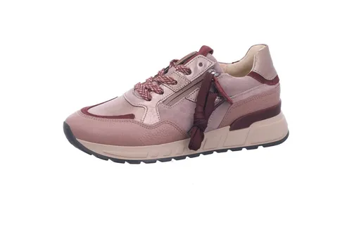 Gabor Sneaker Weite H - rame bordo kombi - Elegante Gabor Sneaker in Weite H mit hochwertigem Samtvelour und Leder. Ideal für einen angenehmen Gehkomfort dank weichem Fußbett und flexibler Schnürung. Perfekt für den täglichen Einsatz.