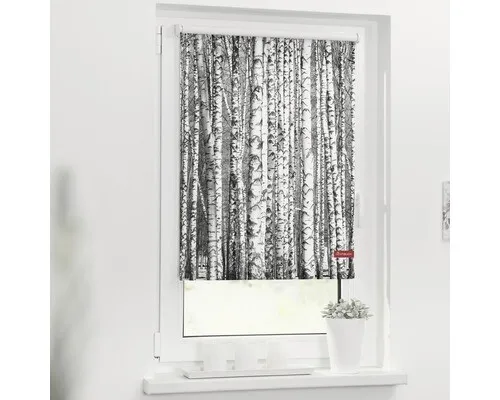 Rollo Klemmfix - Blickdicht und ohne Bohren, 120 x 150 cm - Praktisches Rollo für Fenster, unkomplizierte Montage ohne Bohren, idealer Sicht- und Sonnenschutz mit rustikalem Birken-Design.