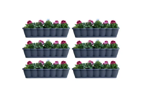 Hossi's Wholesale 6er Set Blumenkasten 80cm mit Bewässerungsuntersetzer - Praktisches 6er Set Balkonkasten in Anthrazit mit Wasserspeicher für gleichmäßige Bewässerung. Ideal für Balkon, Terrasse oder Garten – hochwertiger, wetterfester Kunststoff sorgt für eine langlebige Nutzung.