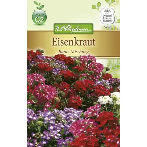 Chrestensen Eisenkraut 'Bunte Mischung'